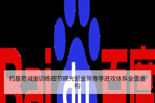 约基奇减重训练细节曝光掘金新赛季进攻体系全面重构
